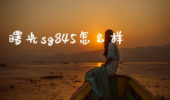 曙光sg845怎么样_https://m.jnbaishite.cn_投资管理_第1张