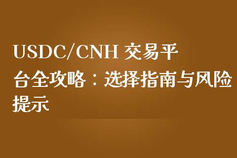 USDC/CNH 交易平台全攻略：选择指南与风险提示_https://m.jnbaishite.cn_期货研报_第1张