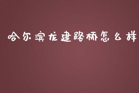 哈尔滨龙建路桥怎么样_https://m.jnbaishite.cn_财经新闻_第1张