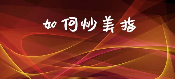 如何炒美指_https://m.jnbaishite.cn_财经新闻_第1张