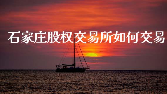 石家庄股权交易所如何交易_https://m.jnbaishite.cn_期货研报_第1张