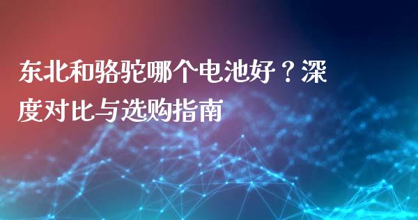 东北和骆驼哪个电池好？深度对比与选购指南_https://m.jnbaishite.cn_期货研报_第1张