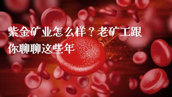 紫金矿业怎么样？老矿工跟你聊聊这些年_https://m.jnbaishite.cn_财经新闻_第1张