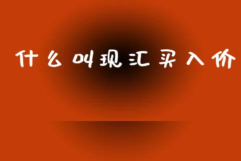 什么叫现汇买入价_https://m.jnbaishite.cn_投资管理_第1张