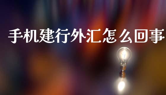 手机建行外汇怎么回事_https://m.jnbaishite.cn_期货研报_第1张