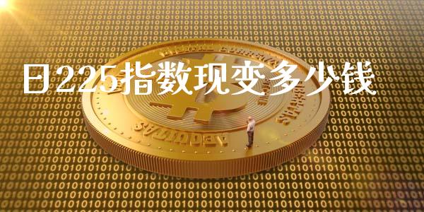 日225指数现变多少钱_https://m.jnbaishite.cn_期货研报_第1张