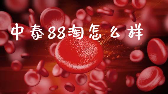 中泰88淘怎么样_https://m.jnbaishite.cn_投资管理_第1张