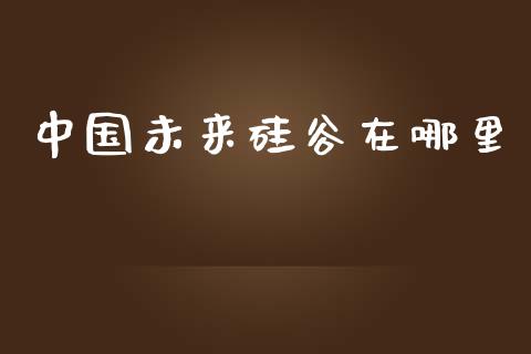 中国未来硅谷在哪里_https://m.jnbaishite.cn_期货研报_第1张