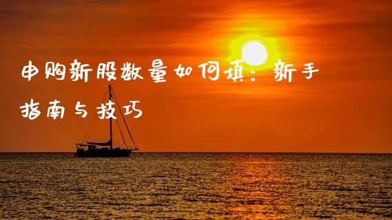 申购新股数量如何填：新手指南与技巧_https://m.jnbaishite.cn_投资管理_第1张
