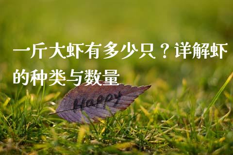 一斤大虾有多少只？详解虾的种类与数量_https://m.jnbaishite.cn_财经新闻_第1张