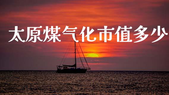 太原煤气化市值多少_https://m.jnbaishite.cn_财经新闻_第1张