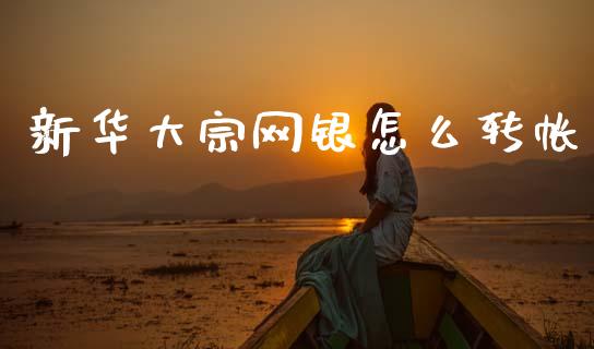 新华大宗网银怎么转帐_https://m.jnbaishite.cn_财经新闻_第1张