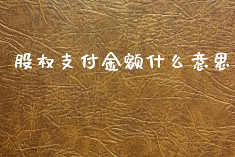 股权支付金额什么意思_https://m.jnbaishite.cn_财经新闻_第1张