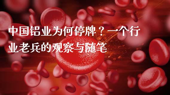 中国铝业为何停牌？一个行业老兵的观察与随笔_https://m.jnbaishite.cn_投资管理_第1张