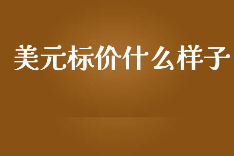 美元标价什么样子_https://m.jnbaishite.cn_投资管理_第1张