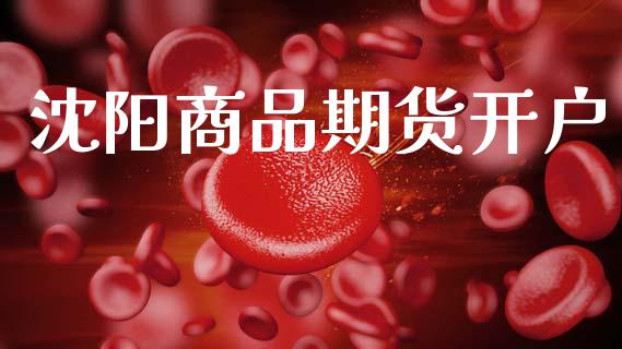沈阳商品期货开户_https://m.jnbaishite.cn_金融市场_第1张