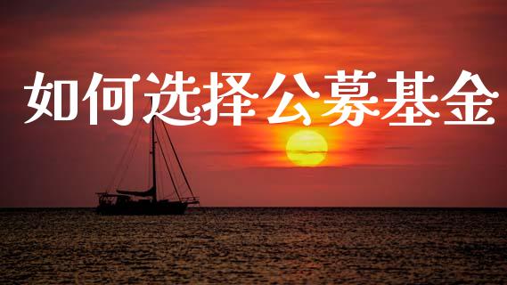 如何选择公募基金_https://m.jnbaishite.cn_金融市场_第1张
