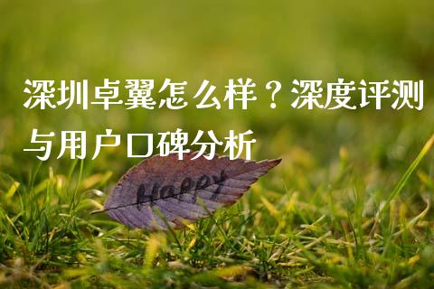 深圳卓翼怎么样？深度评测与用户口碑分析_https://m.jnbaishite.cn_期货研报_第1张