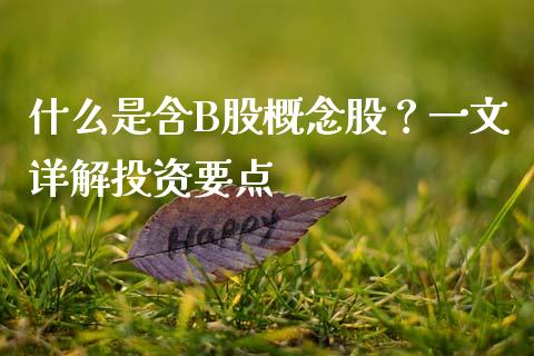 什么是含B股概念股？一文详解投资要点_https://m.jnbaishite.cn_金融市场_第1张