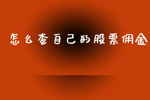 怎么查自己的股票佣金_https://m.jnbaishite.cn_投资管理_第1张