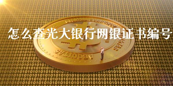 怎么查光大银行网银证书编号_https://m.jnbaishite.cn_财经新闻_第1张