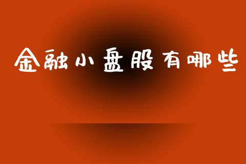 金融小盘股有哪些_https://m.jnbaishite.cn_期货研报_第1张