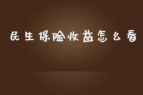 民生保险收益怎么看_https://m.jnbaishite.cn_金融市场_第1张