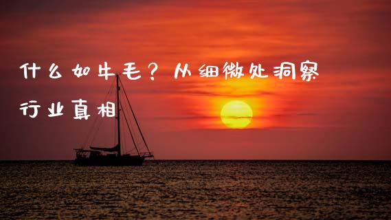 什么如牛毛？从细微处洞察行业真相_https://m.jnbaishite.cn_财经新闻_第1张