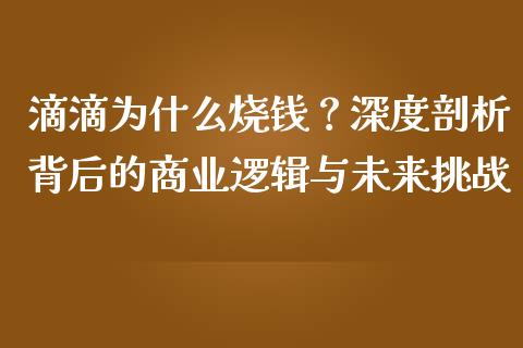 滴滴为什么烧钱？深度剖析背后的商业逻辑与未来挑战_https://m.jnbaishite.cn_期货研报_第1张