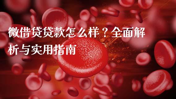 微借贷贷款怎么样？全面解析与实用指南_https://m.jnbaishite.cn_投资管理_第1张