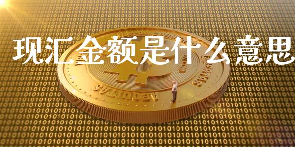 现汇金额是什么意思_https://m.jnbaishite.cn_金融市场_第1张