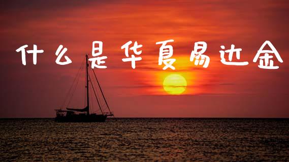 什么是华夏易达金_https://m.jnbaishite.cn_投资管理_第1张