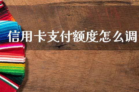 信用卡支付额度怎么调_https://m.jnbaishite.cn_财经新闻_第1张