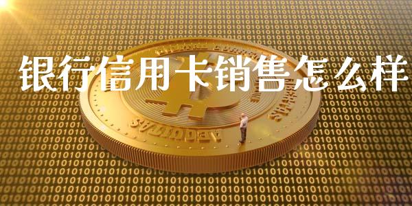 银行信用卡销售怎么样_https://m.jnbaishite.cn_投资管理_第1张