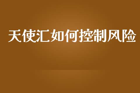 天使汇如何控制风险_https://m.jnbaishite.cn_期货研报_第1张