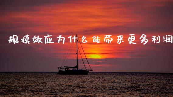规模效应为什么能带来更多利润_https://m.jnbaishite.cn_金融市场_第1张