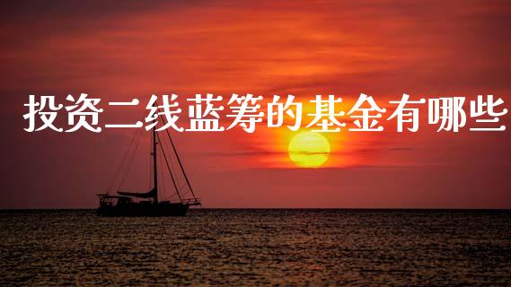 投资二线蓝筹的基金有哪些_https://m.jnbaishite.cn_金融市场_第1张