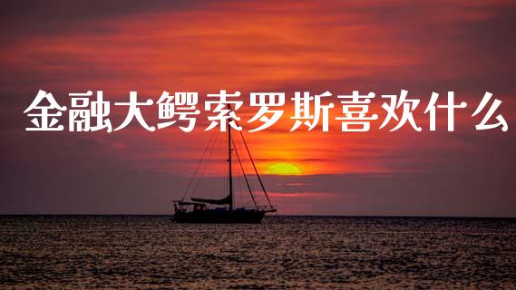 金融大鳄索罗斯喜欢什么_https://m.jnbaishite.cn_投资管理_第1张