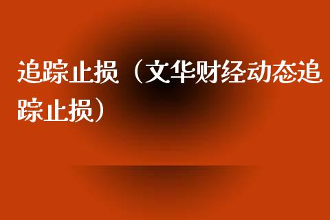 追踪止损（文华财经动态追踪止损）_https://m.jnbaishite.cn_期货研报_第1张