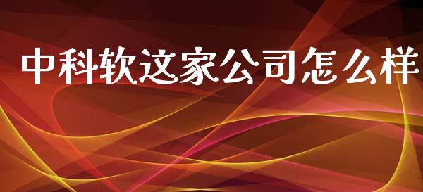 中科软这家公司怎么样_https://m.jnbaishite.cn_投资管理_第1张