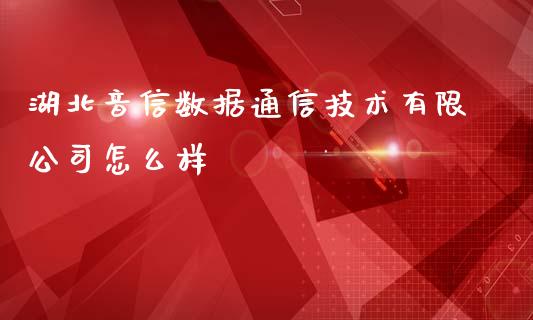 湖北音信数据通信技术有限公司怎么样_https://m.jnbaishite.cn_投资管理_第1张