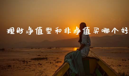 理财净值型和非净值买哪个好_https://m.jnbaishite.cn_财经新闻_第1张