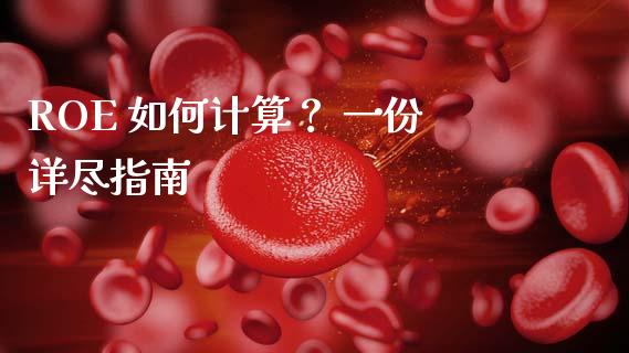 ROE 如何计算？ 一份详尽指南_https://m.jnbaishite.cn_投资管理_第1张