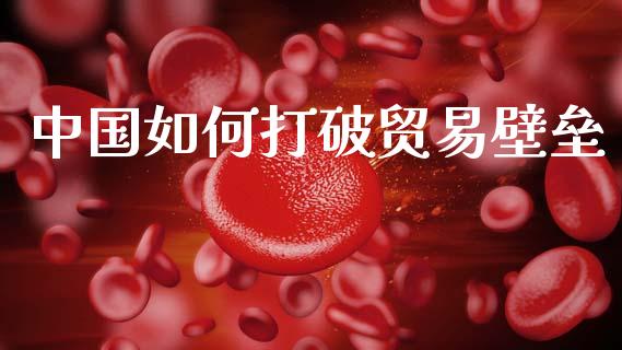 中国如何打破贸易壁垒_https://m.jnbaishite.cn_财经新闻_第1张