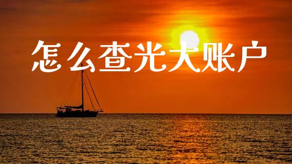 怎么查光大账户_https://m.jnbaishite.cn_投资管理_第1张