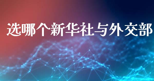 选哪个新华社与外交部_https://m.jnbaishite.cn_投资管理_第1张