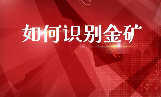 如何识别金矿_https://m.jnbaishite.cn_金融市场_第1张