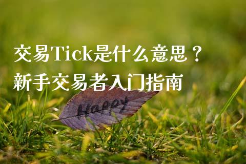 交易Tick是什么意思？新手交易者入门指南_https://m.jnbaishite.cn_投资管理_第1张