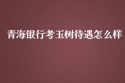 青海银行考玉树待遇怎么样_https://m.jnbaishite.cn_期货研报_第1张