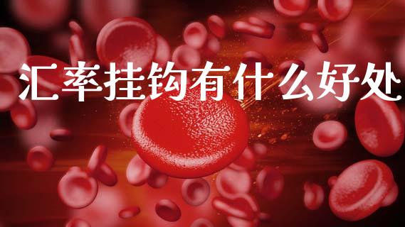 汇率挂钩有什么好处_https://m.jnbaishite.cn_投资管理_第1张